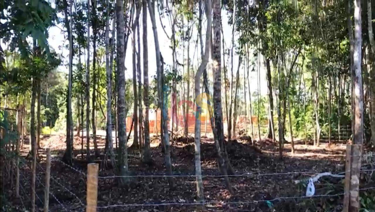 Terreno, 729 m² - Foto 6