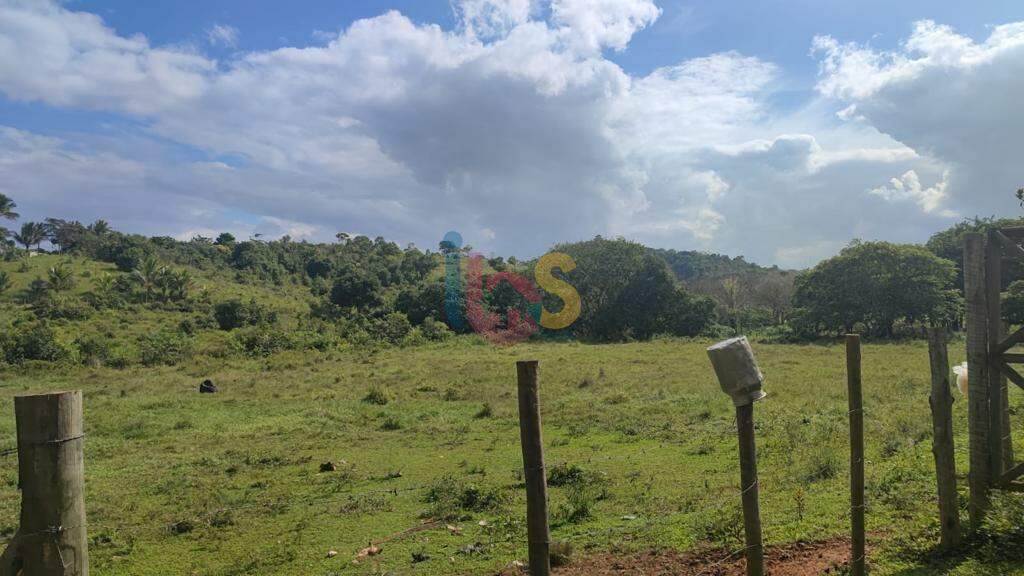 Fazenda à venda - Foto 3