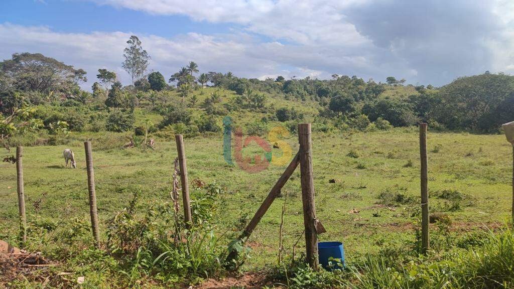 Fazenda à venda - Foto 4