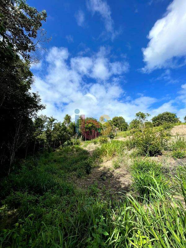 Terreno, 1425 m² - Foto 3