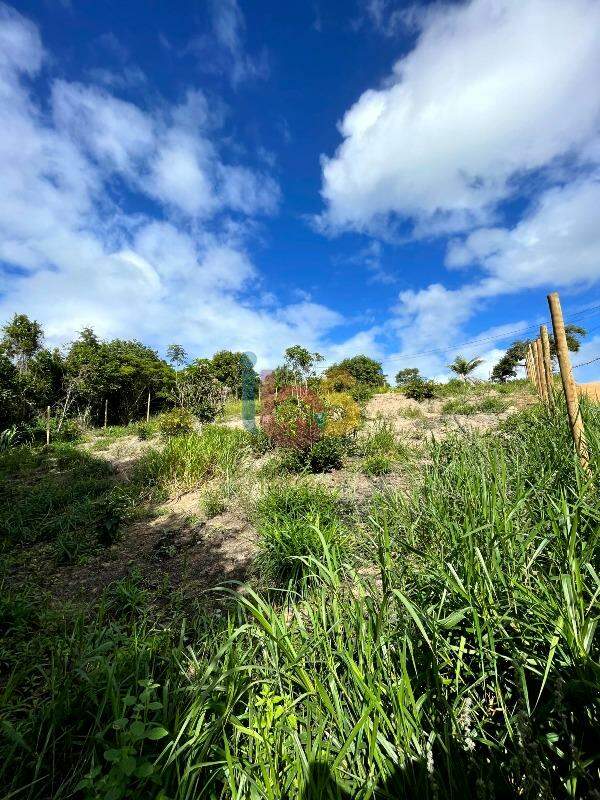 Terreno, 1425 m² - Foto 4