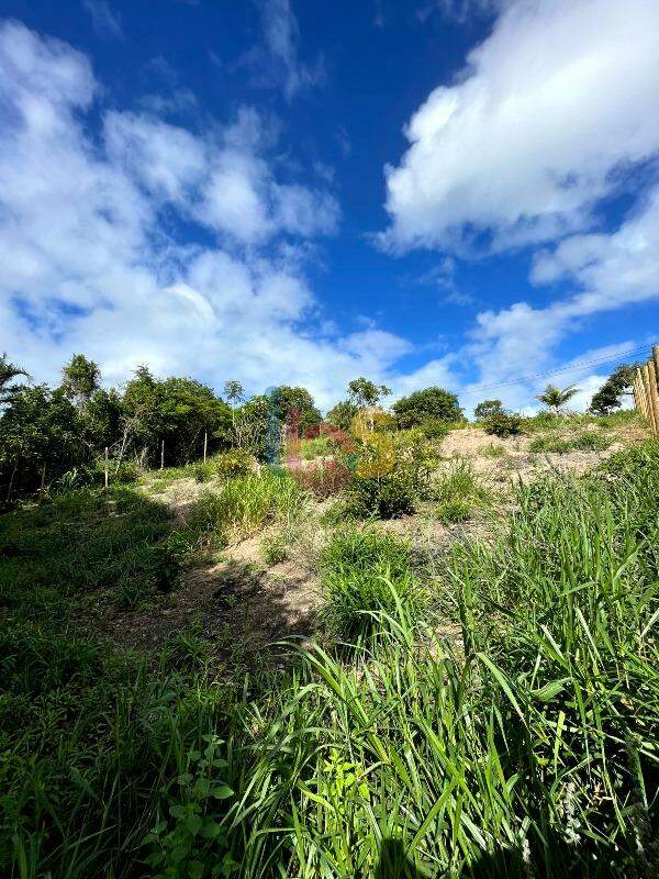 Terreno, 1425 m² - Foto 5