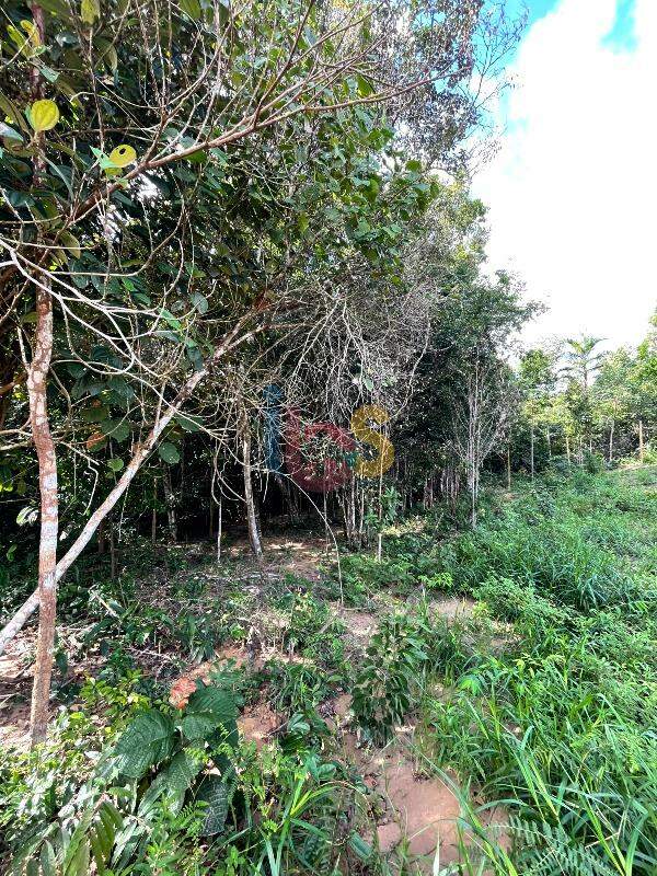 Terreno, 1425 m² - Foto 2