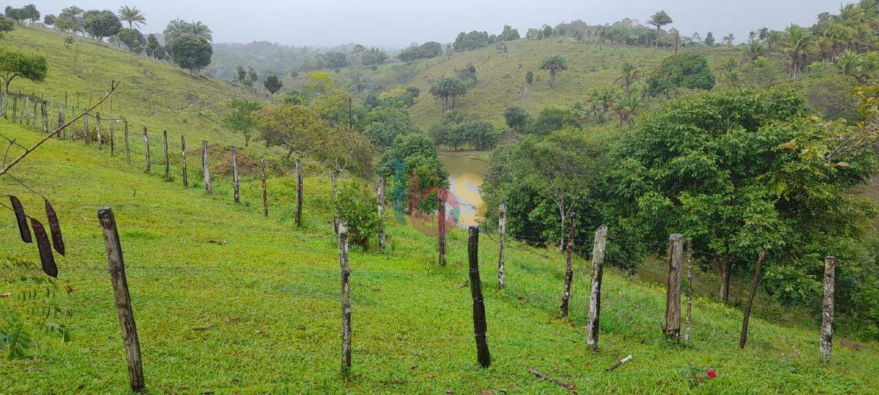 Fazenda à venda com 3 quartos, 70m² - Foto 4