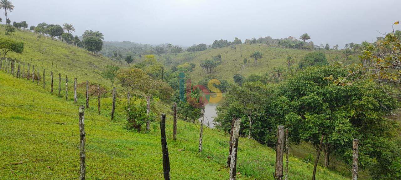 Fazenda à venda com 3 quartos, 70m² - Foto 6