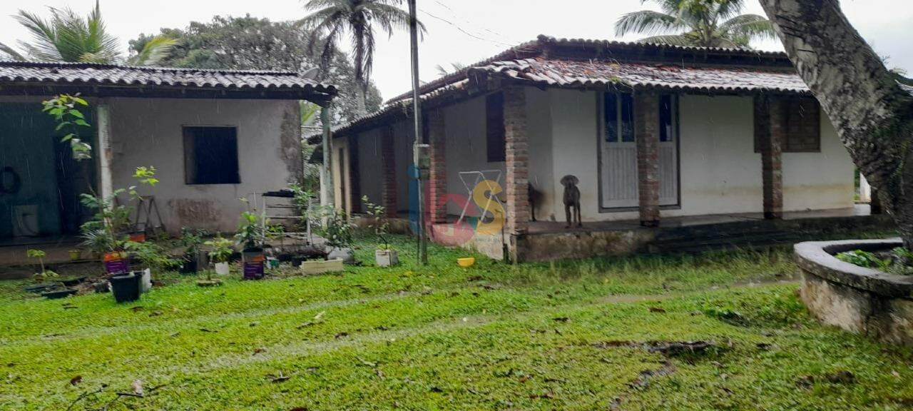 Fazenda à venda com 3 quartos, 70m² - Foto 5