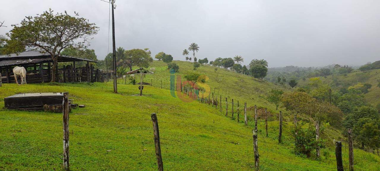 Fazenda à venda com 3 quartos, 70m² - Foto 1