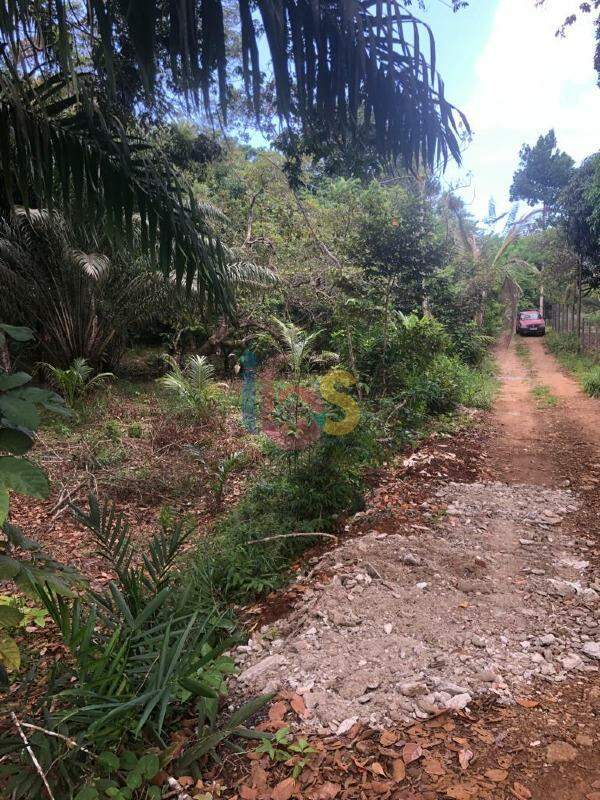 Terreno à venda, 1500m² - Foto 1