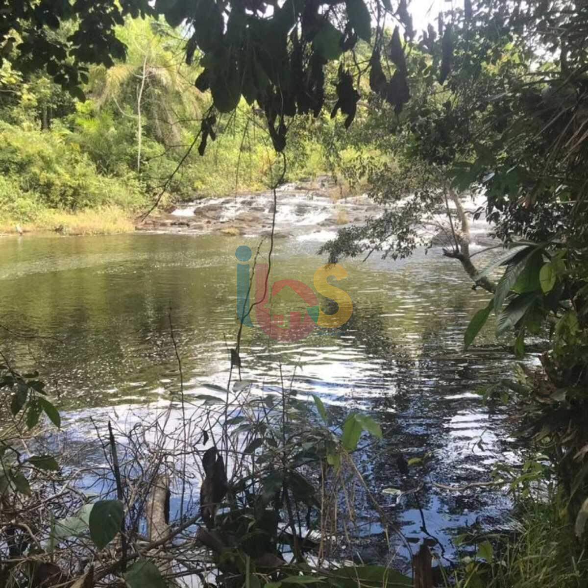 Fazenda à venda com 1 quarto, 560000m² - Foto 4