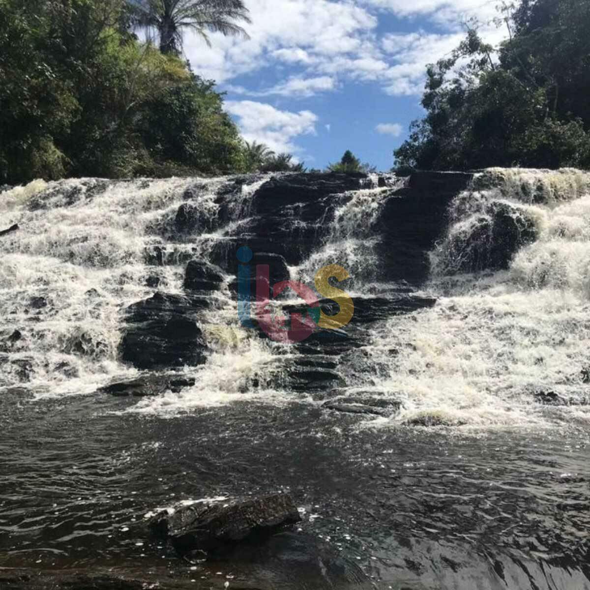 Fazenda à venda com 1 quarto, 560000m² - Foto 5