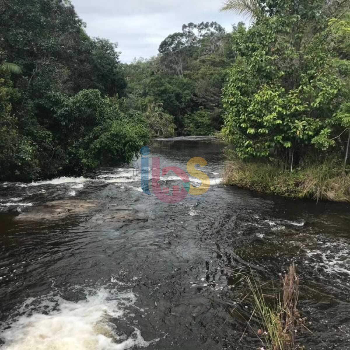 Fazenda à venda com 1 quarto, 560000m² - Foto 6