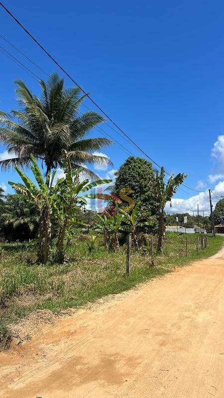 Terreno à venda, 1500m² - Foto 5