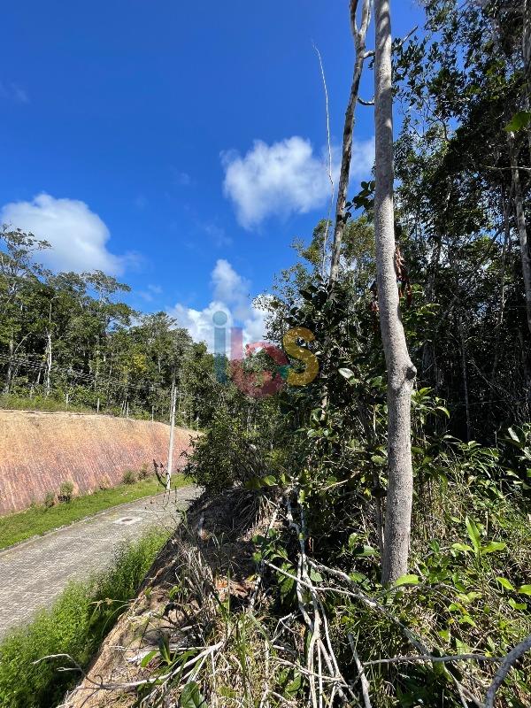 Terreno, 1351 m² - Foto 7