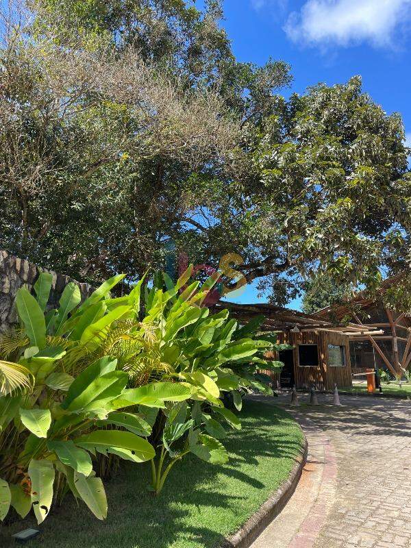 Terreno, 1351 m² - Foto 2