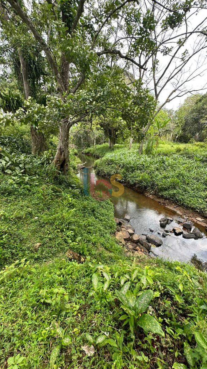 Terreno à venda com 1 quarto, 117000m² - Foto 18