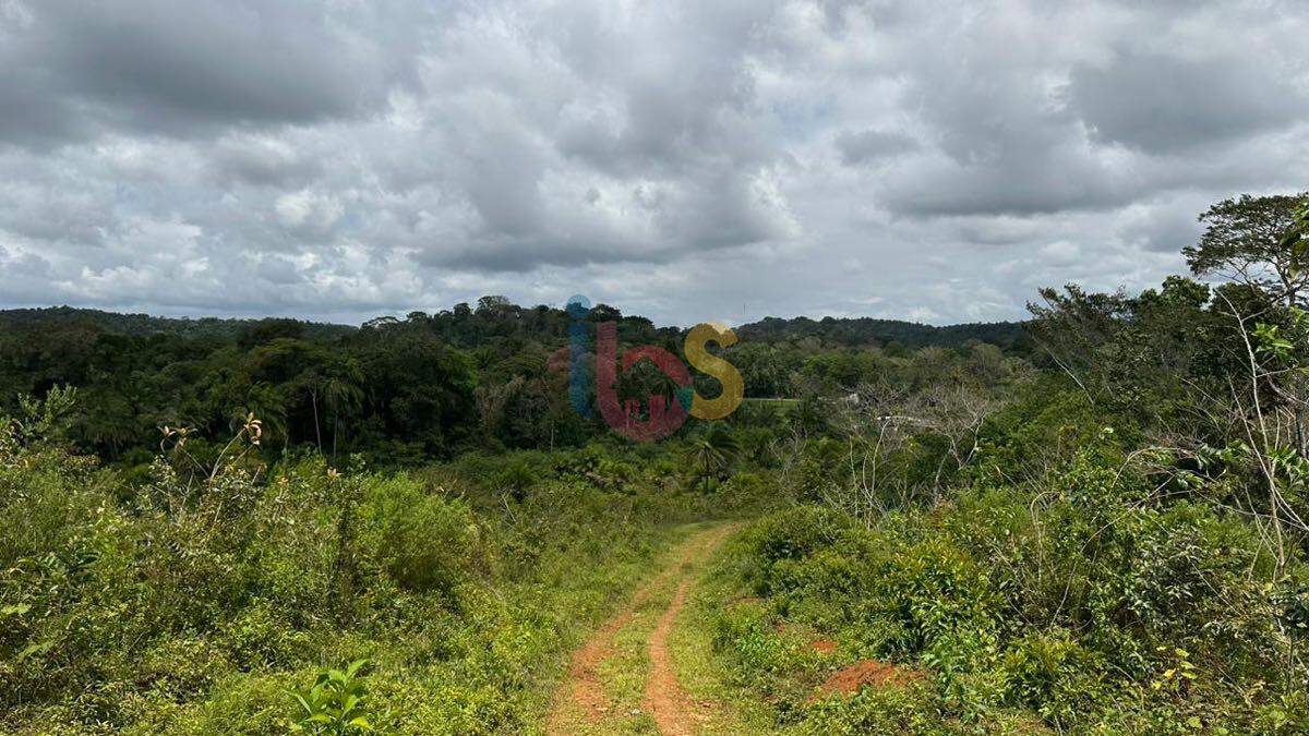 Terreno à venda com 1 quarto, 117000m² - Foto 16