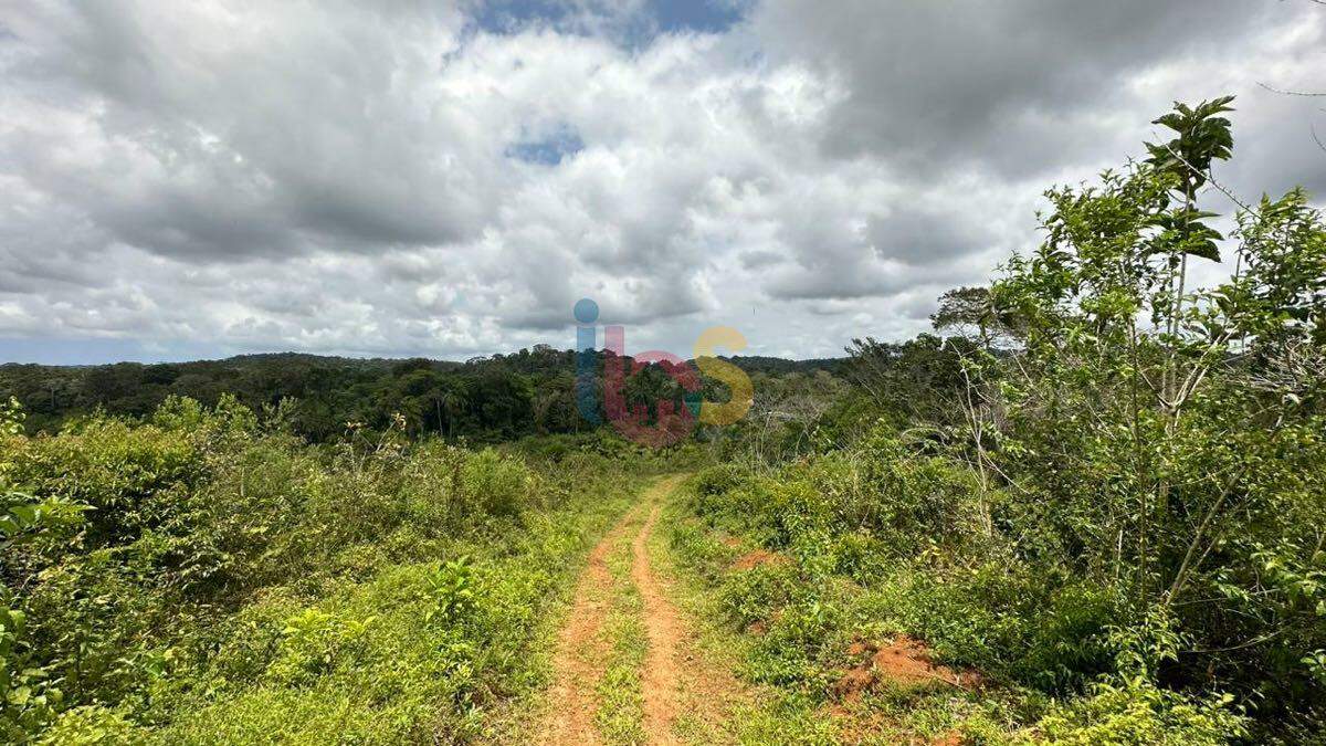 Terreno à venda com 1 quarto, 117000m² - Foto 19