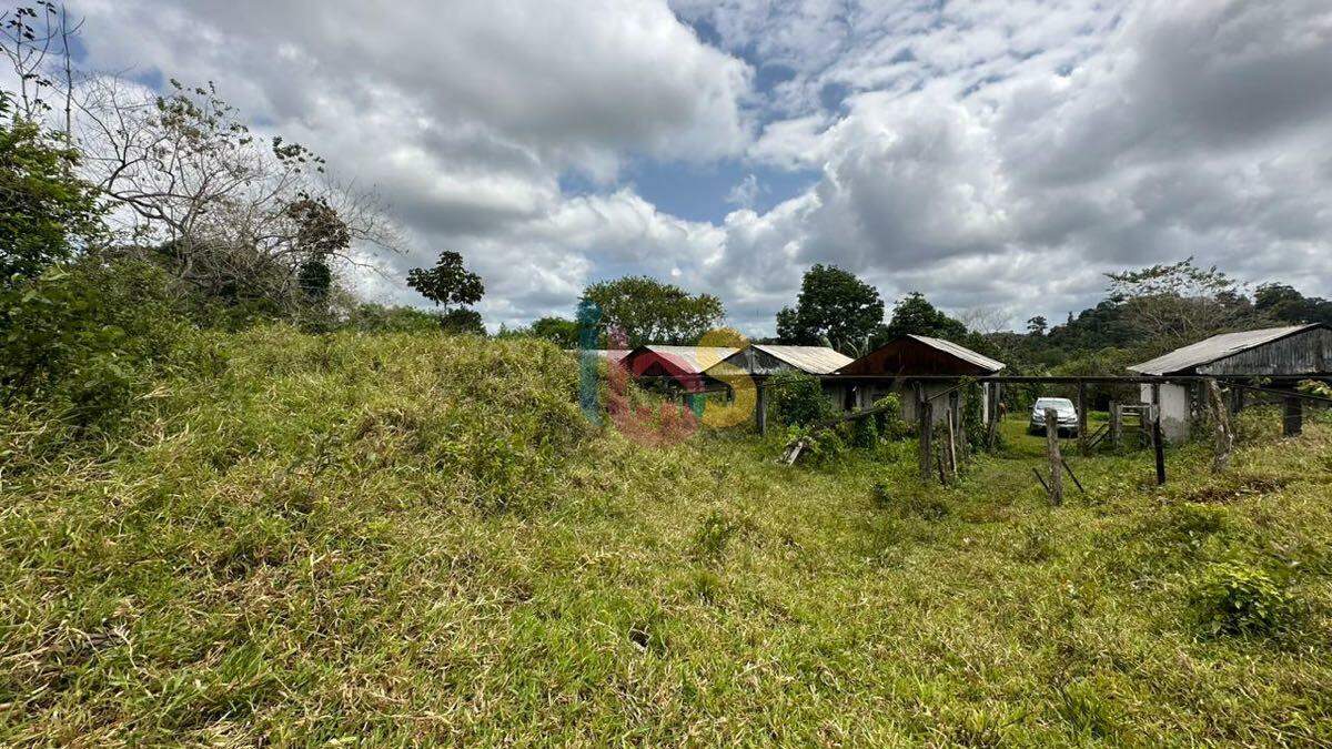 Terreno à venda com 1 quarto, 117000m² - Foto 3