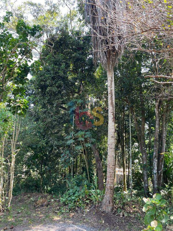 Terreno, 250 m² - Foto 2