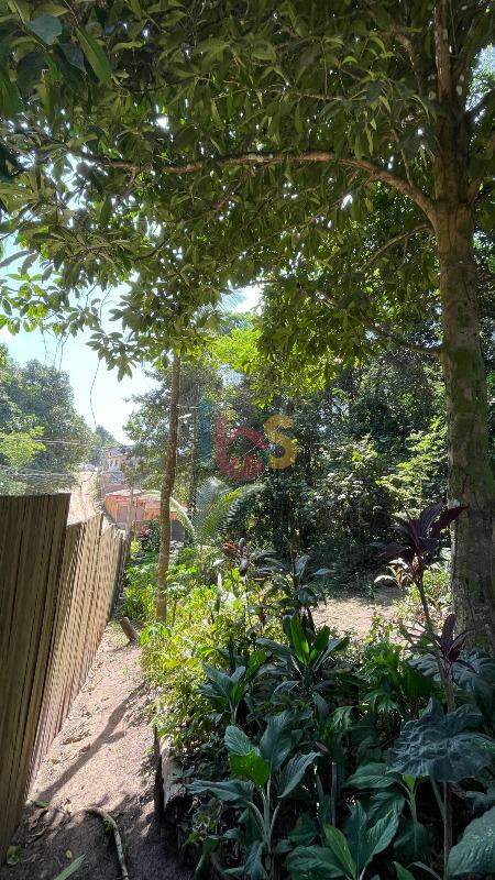 Terreno, 250 m² - Foto 11