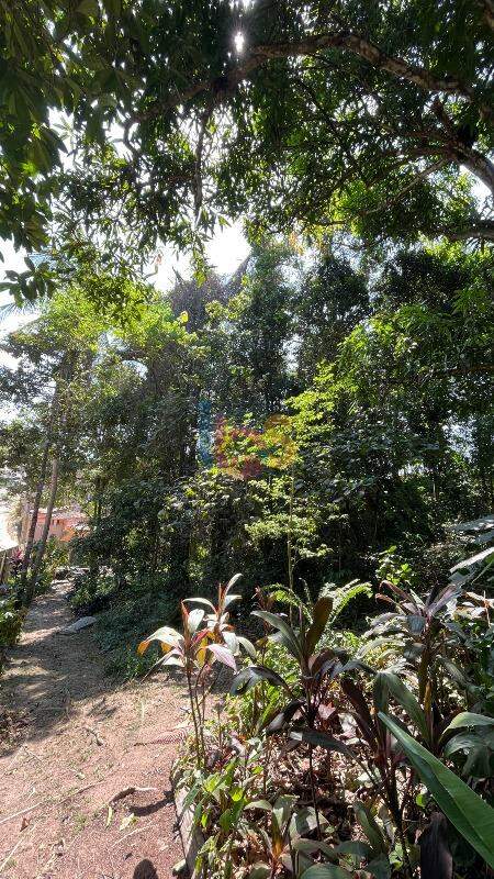 Terreno, 250 m² - Foto 5