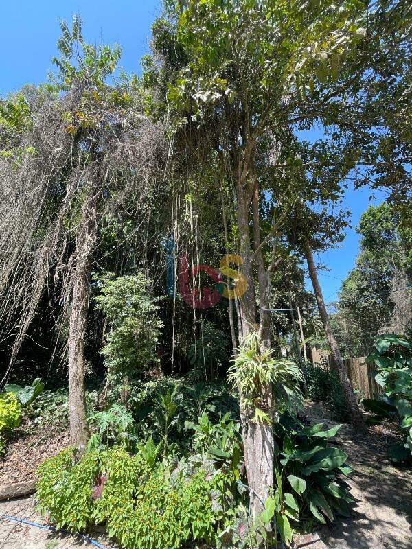 Terreno, 250 m² - Foto 3