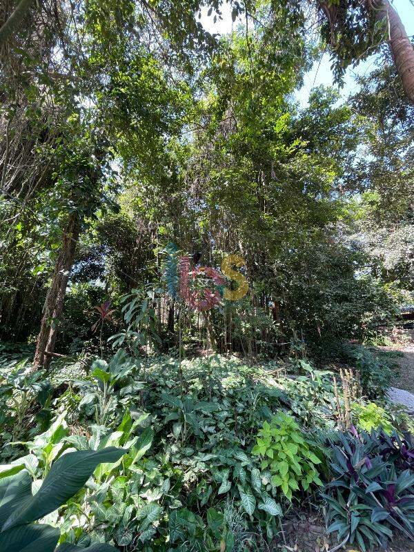 Terreno, 250 m² - Foto 4