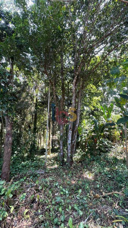 Terreno, 250 m² - Foto 8