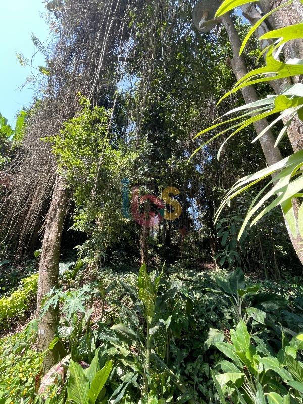 Terreno, 926 m² - Foto 6