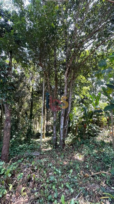 Terreno, 926 m² - Foto 9