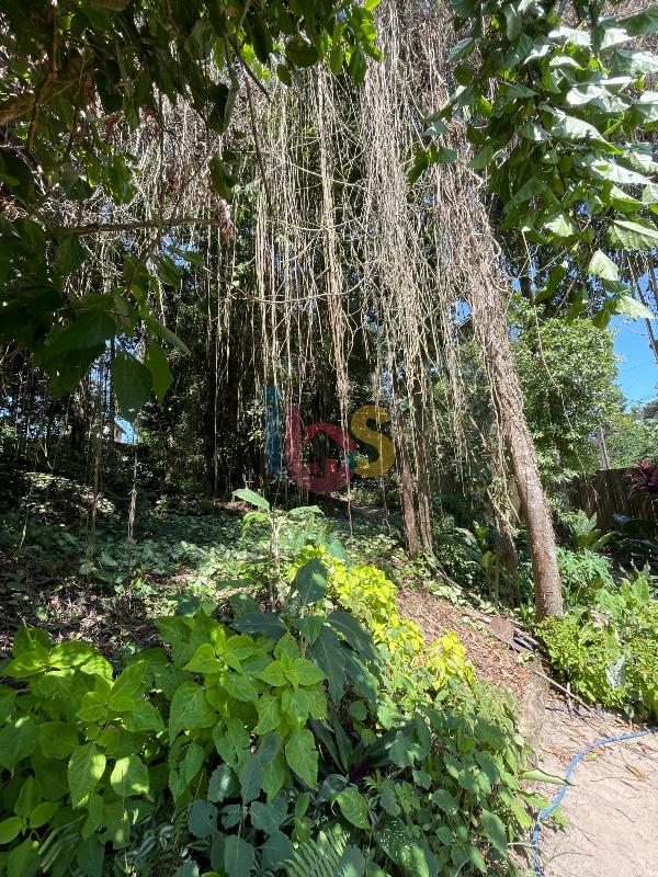 Terreno, 926 m² - Foto 7