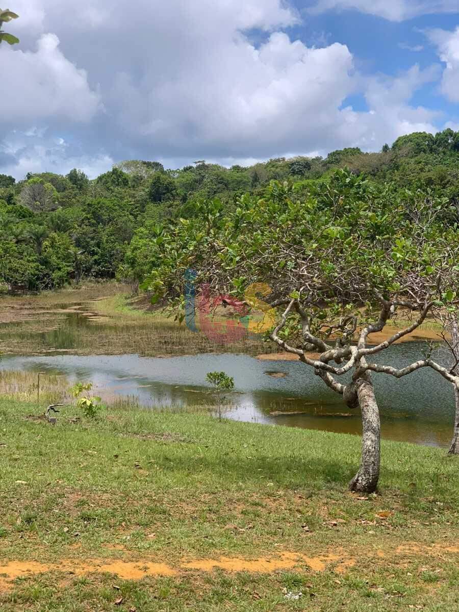 Terreno à venda, 5000m² - Foto 3