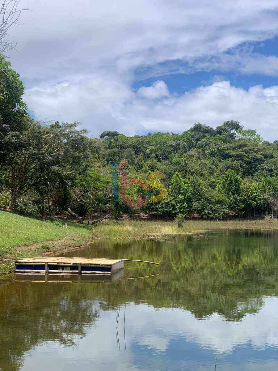 Terreno à venda, 5000m² - Foto 10