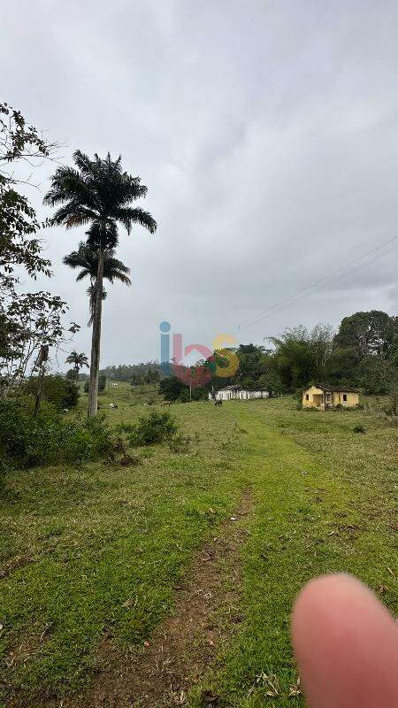 Fazenda à venda com 1 quarto - Foto 8