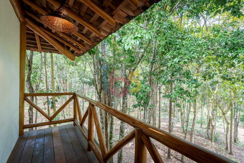 Casa, 4 quartos, 303 m² - Foto 3