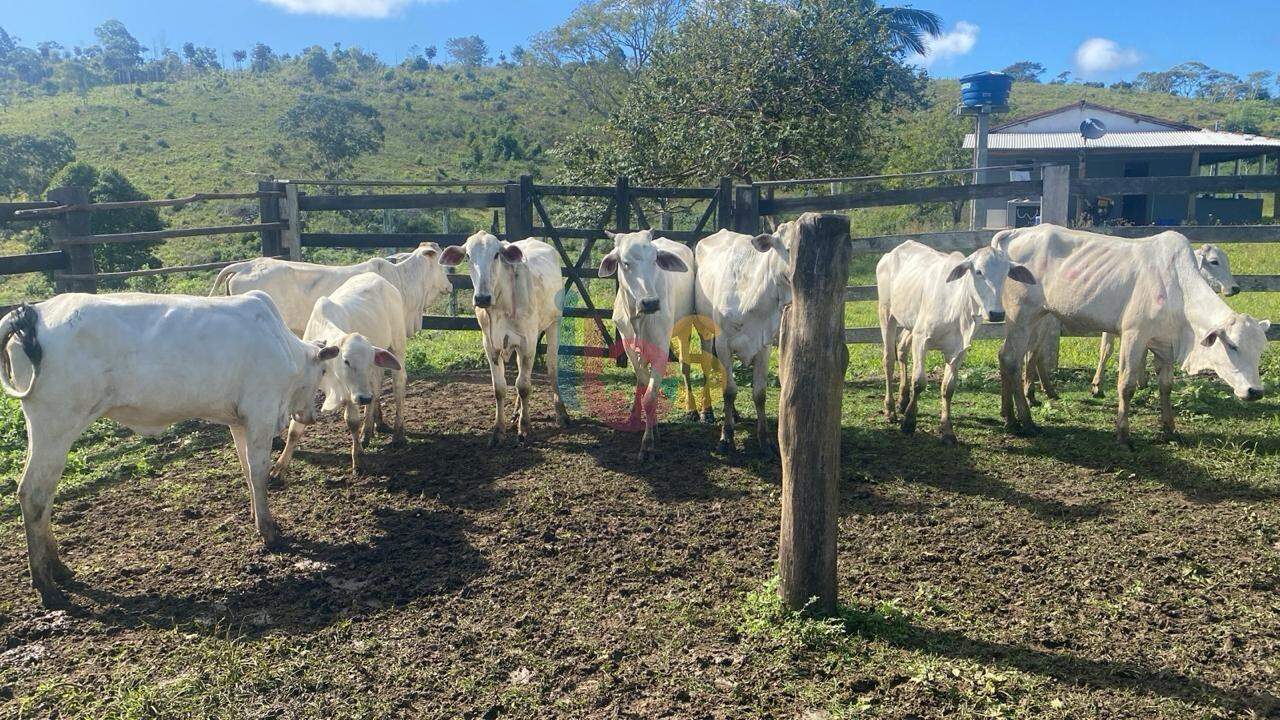 Fazenda à venda, 1450000m² - Foto 9