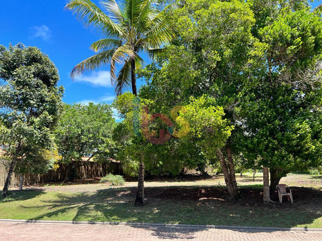 Terreno, 1285 m² - Foto 3