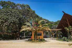 Terreno, 1553 m² - Foto 4