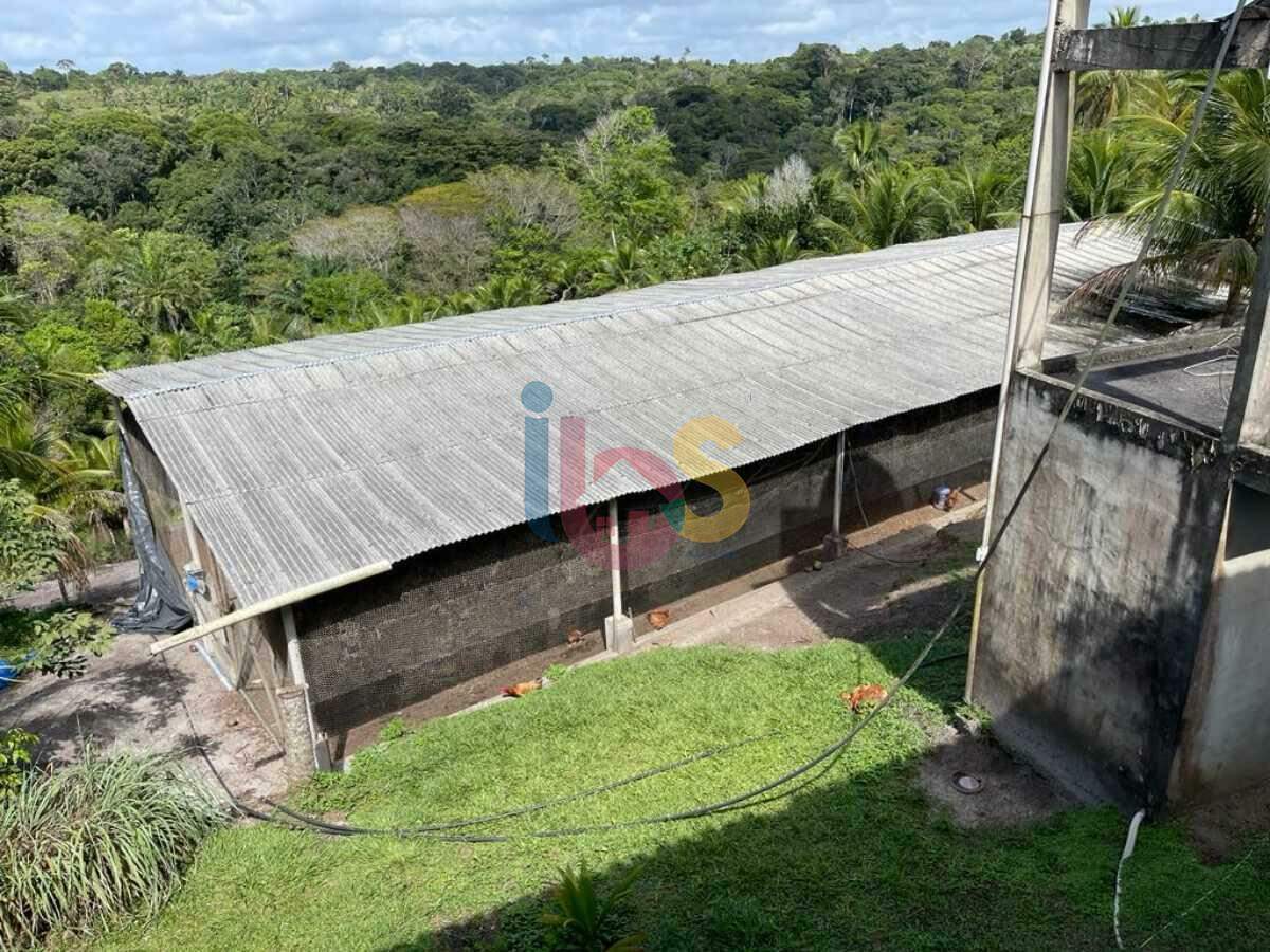 Fazenda à venda com 5 quartos, 12m² - Foto 5