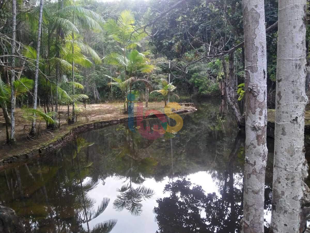 Fazenda à venda com 5 quartos, 12m² - Foto 8