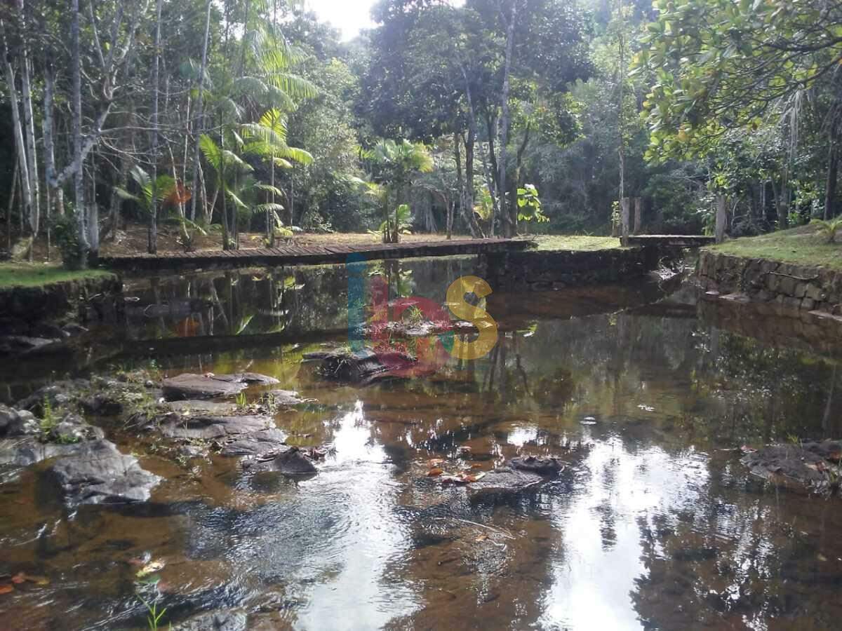 Fazenda à venda com 5 quartos, 12m² - Foto 9