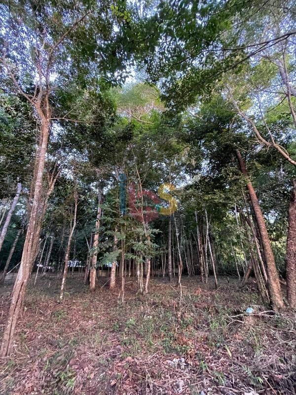 Terreno, 3850 m² - Foto 9