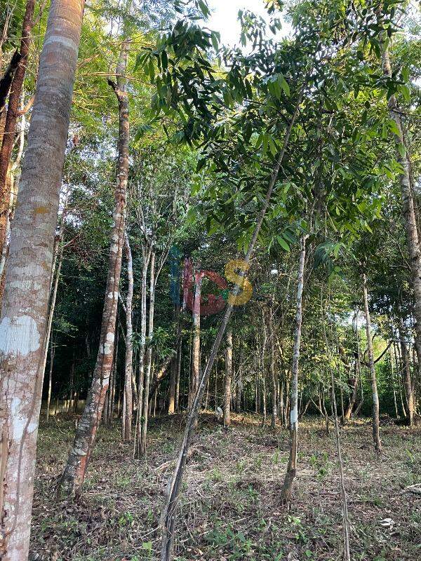 Terreno, 3850 m² - Foto 6