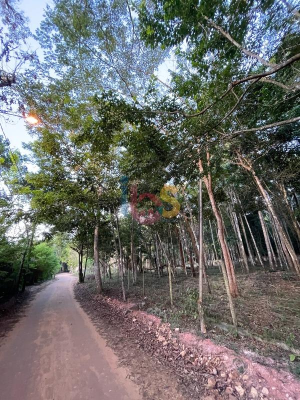 Terreno, 3850 m² - Foto 2