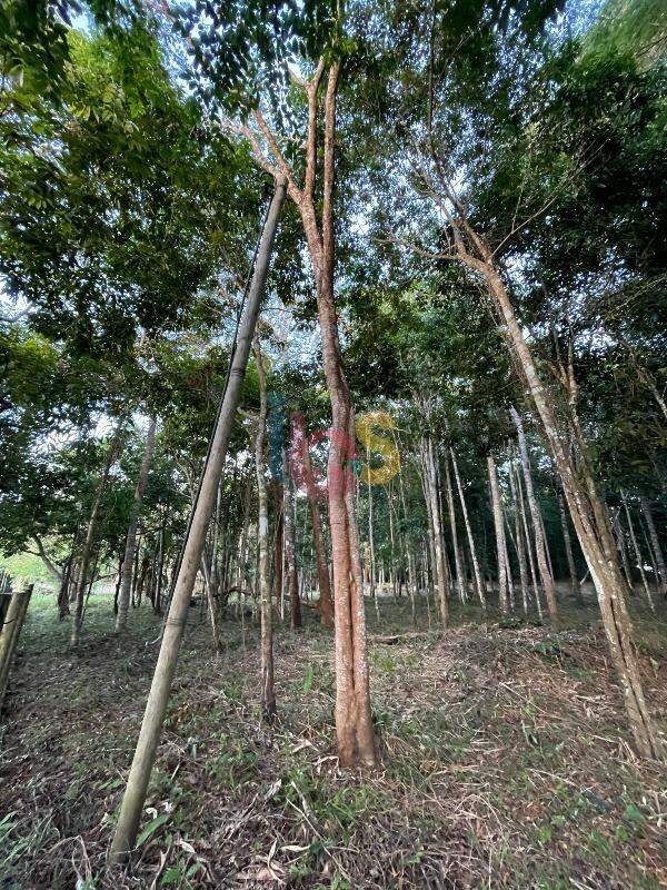 Terreno, 3850 m² - Foto 10