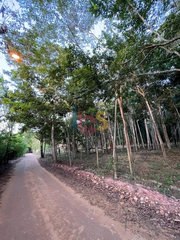 Terreno, 3850 m² - Foto 3