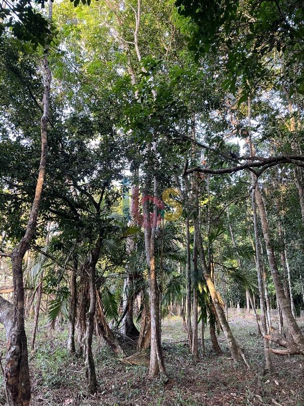 Terreno, 3850 m² - Foto 5