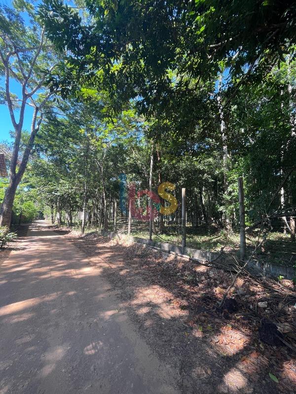 Terreno, 3850 m² - Foto 4