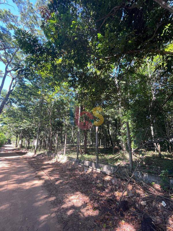 Terreno, 3850 m² - Foto 8