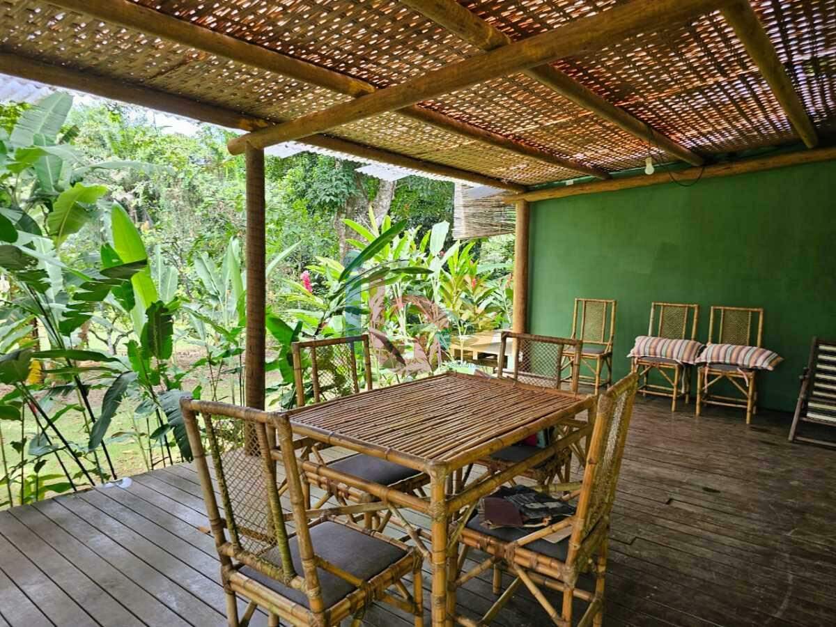 Fazenda à venda com 3 quartos, 220m² - Foto 12